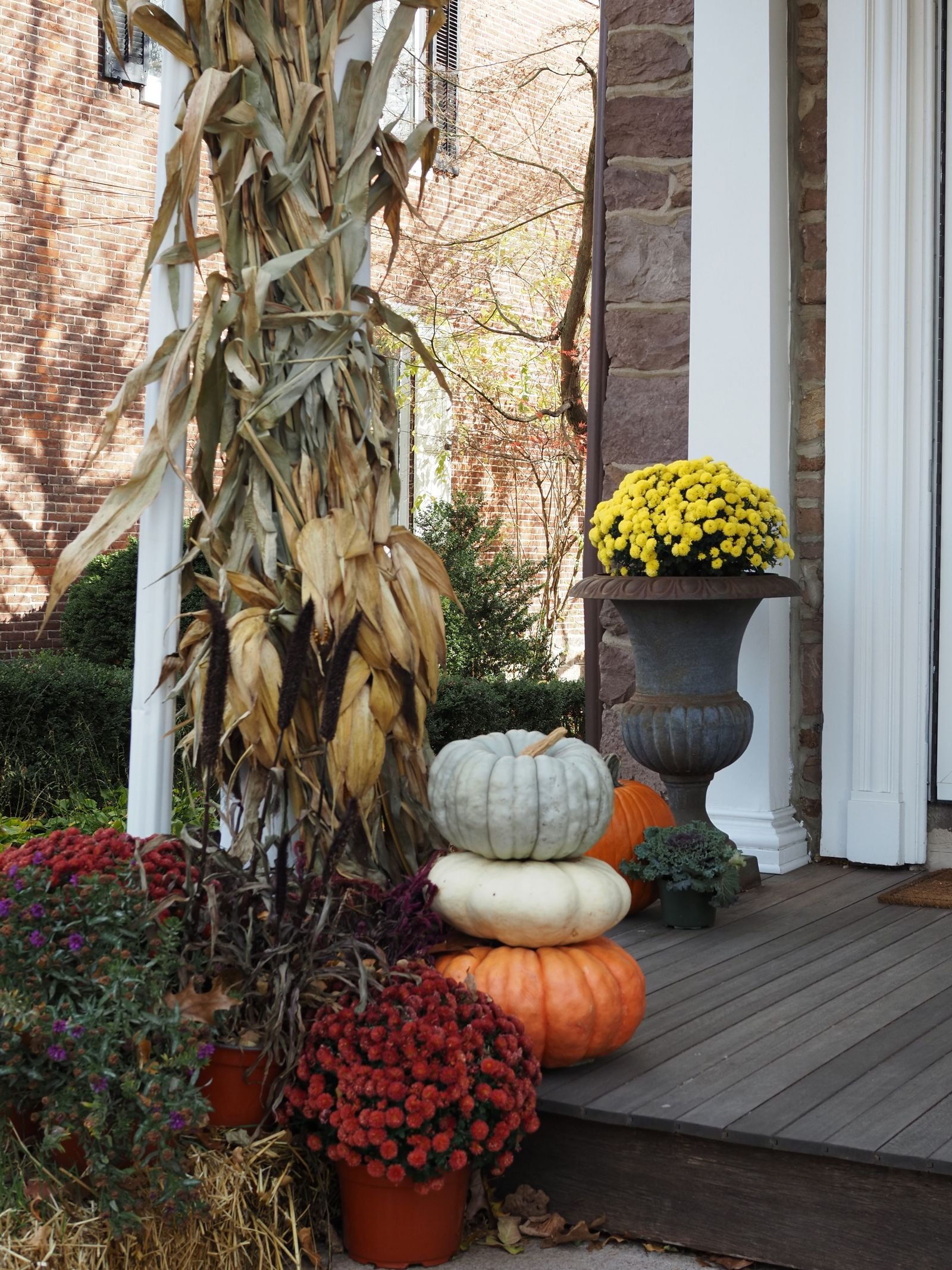 A fall front porch with stacked white and orange pumpkins, mums and corn stalks by the door