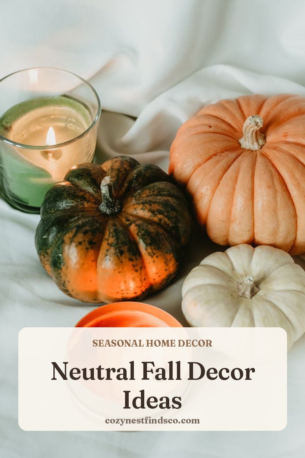 Neutral Fall Decor Ideas: 20 Cozy Pieces for Your Home: pin image for Pinterest