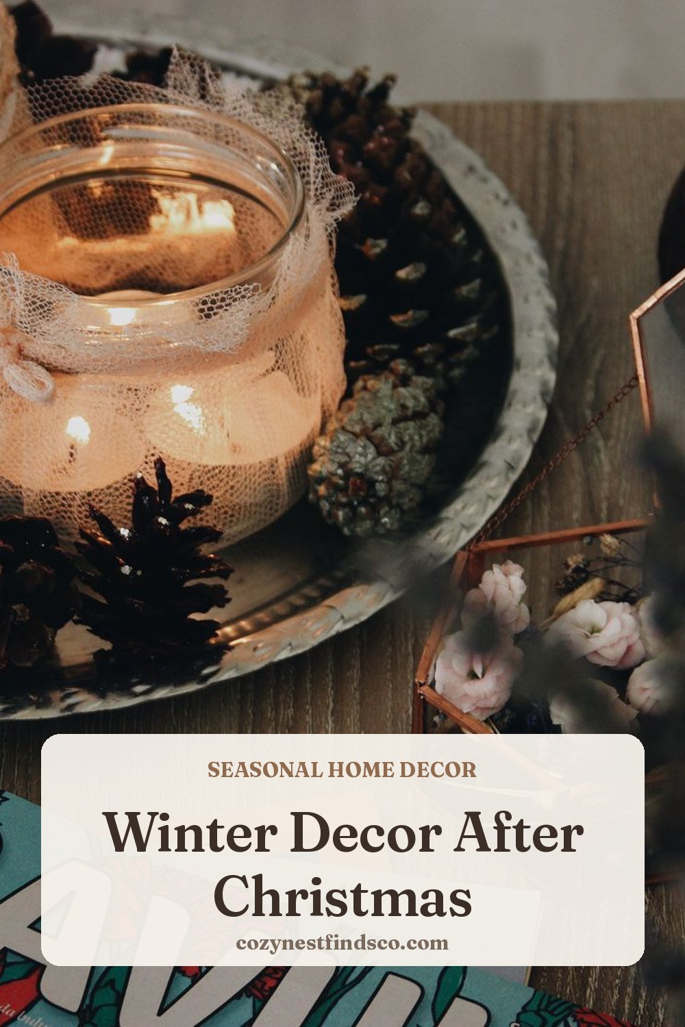 Winter Decor After Christmas: pin image for Pinterest