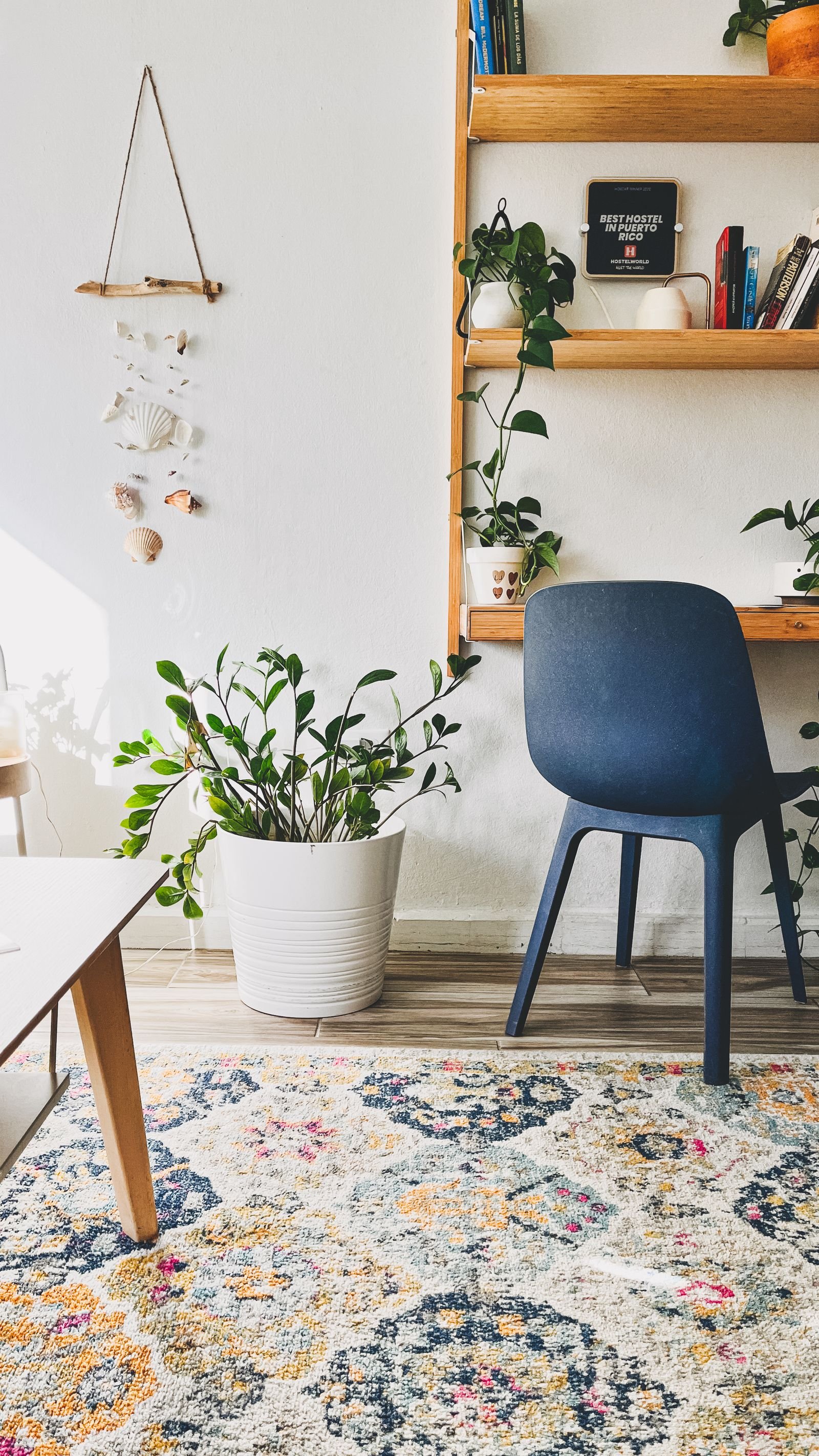 An apartment corner with floating wood shelves, houseplants, a blue chair and a colorful patterned rug